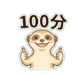Cozy Meerkat: Daily Chat