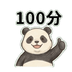 Cozy Panda: Daily Chat