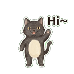 Cozy Black Cat: Banter Chat