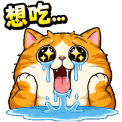 Daily life of a big-eater orange cat
