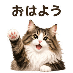 Norwegian Forest Cat Daily Stickers!