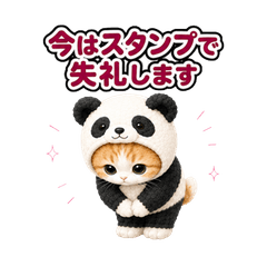 Cat in Costume Reactions JP 26
