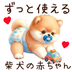 A Shiba Inu puppy you can use forever
