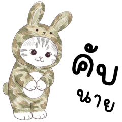 ตาต้า แมวน้อยน่ารัก