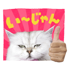 猫に手を貸しました