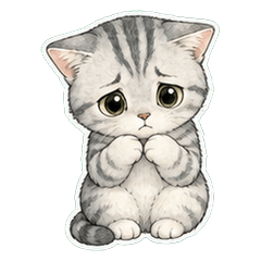 Silver Tabby Line Wash 1A