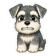 Mini Schnauzer Line Wash 1A