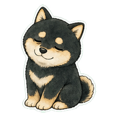 Black Shiba Line Wash 1A