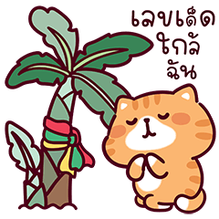 Boss MeowzaV.5