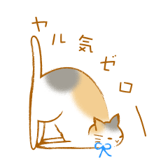 Little Calico's Life