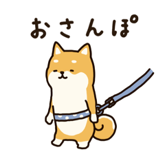 柴ケンさんの日常2