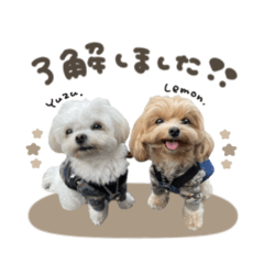 ユズくん.レモンちゃんStandard