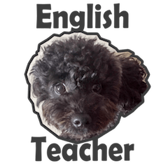 female cute toy poodle english teacher