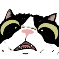 I can't live without tuxedo cats.1