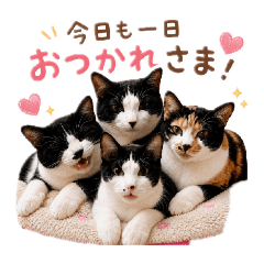 nekocafedanro