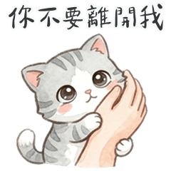 QQQQQQQQQQQgrey meow7