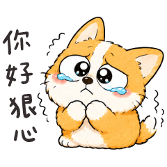 (M)Big eyes Corgi2-Emotional Puppy