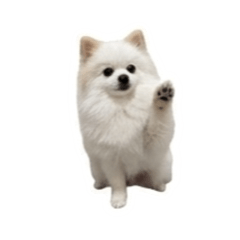 Daisy Daisy here