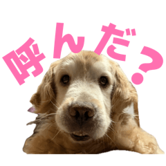 miiii_20260705195844