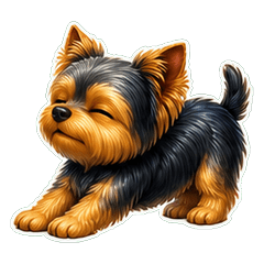 Yorkie Neon 1A