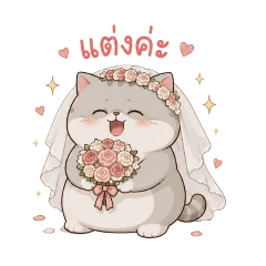 Sassy Chubby Cat Savage & Funny