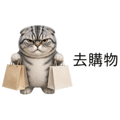 Short-Legged Gray Tabby Cat (TWN)