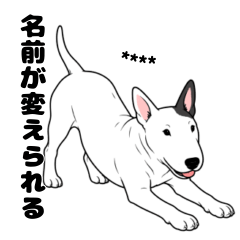 名前入りブルテリアホワイトブラック①
