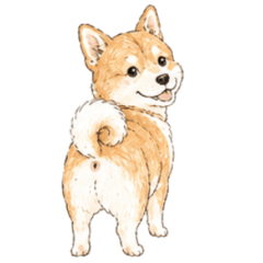 Bumbum Fofo de Cães (Sem Texto)