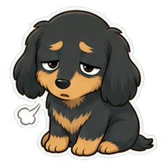 Dachshund Fluffy Face