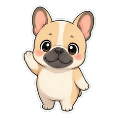 French Bulldog Fluffy Face