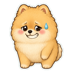 Pomeranian Fluffy Face