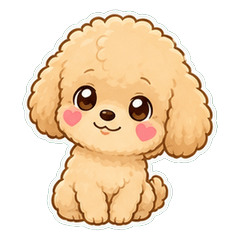 Toy Poodle Fluffy Face