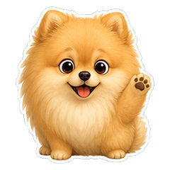 Pomeranian Shadow 1A