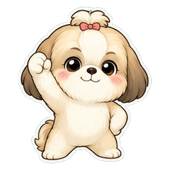 Shih Tzu Fluffy Face