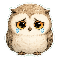 Owl Line Wash 1A