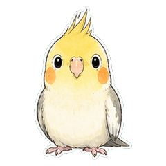 Cockatiel Line Wash 1A