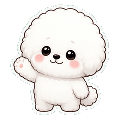 Bichon Fluffy Face