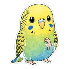 線画淡彩インコ1A