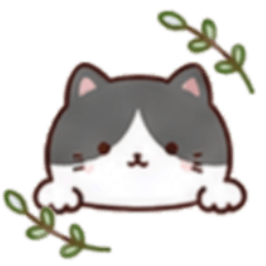 【毎日使える】小さめ猫の仲間たち｜coco♡