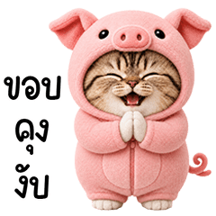 Chubby cute cat in Pig outfit
