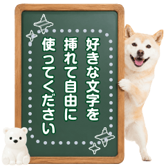 癒し柴犬のメッセージボード