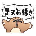 高分貝的奇妙動物