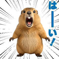 The marmot Sticker 3