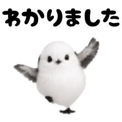 踊る！シマエナガ