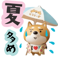 夏、多め。