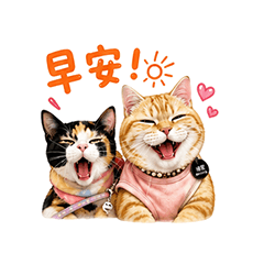 __CUTE CATS___