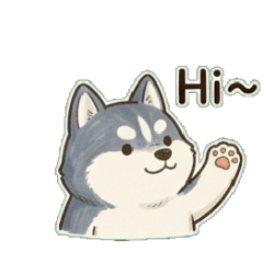Shiba Husky Couple
