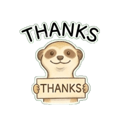 Meerkat Lookout Daily Chat