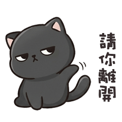 chubby cutie cats15
