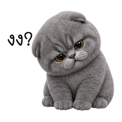 Moko Grumpy Folded Cat